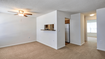 Modern ceiling fans